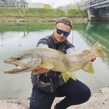pêche au lac proche du Lac de Sainte-Croix 3 (1)