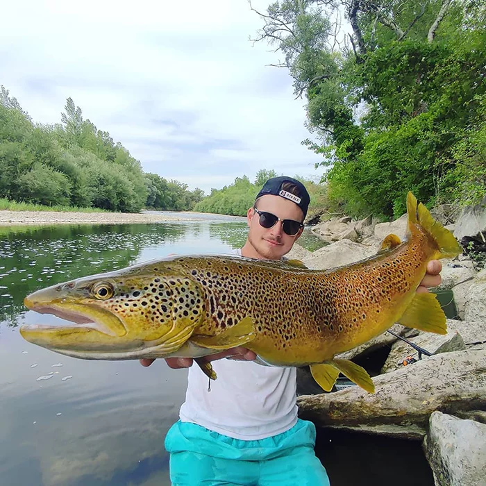 pêche au lac proche du Lac de Sainte-Croix 4